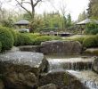 Zen Garten Anlegen Inspirierend Botanischer Garten Augsburg –