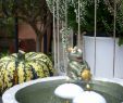 Zen Garten Deko Frisch Garden Water Features Awesome Kleingartengestaltung Bilder