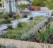 Ziergräser Für Den Garten Inspirierend Gartengestaltung 2015 – 30 Moderne Gartenlandschaften