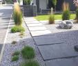Zierkies Garten Elegant Kleinen Garten Gestalten — Temobardz Home Blog