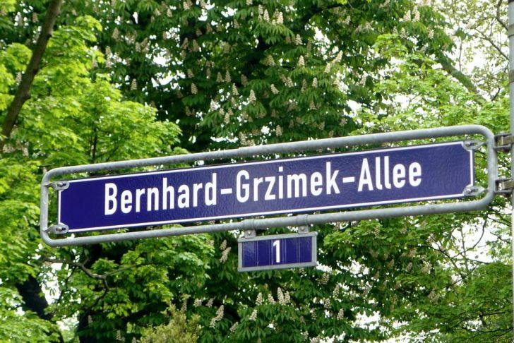 Zoologischer Garten Frankfurt Inspirierend Bernhard Grzimek Allee –
