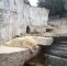 Zoologischer Garten Karlsruhe Luxus Datei Polar Bear at Karlsruhe Zoo –