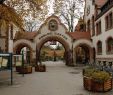 Zoologischer Garten Leipzig Inspirierend Pin Von Learn German Coach Auf My Home town